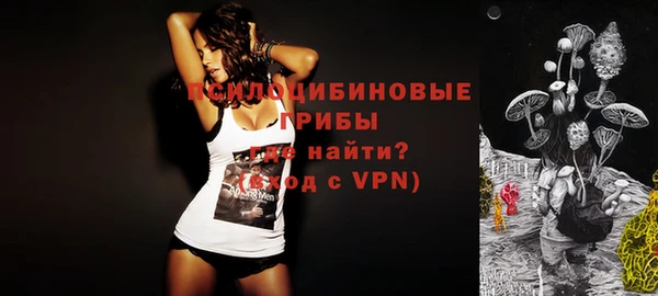 мяу мяу мука Лабытнанги