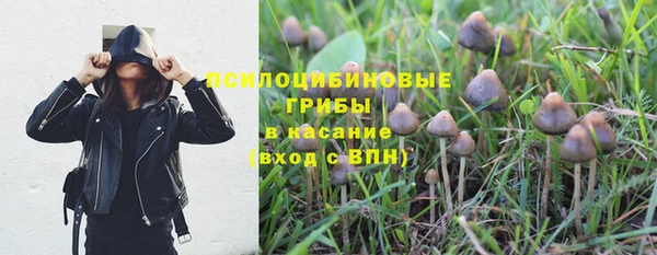 прущая мука Лагань