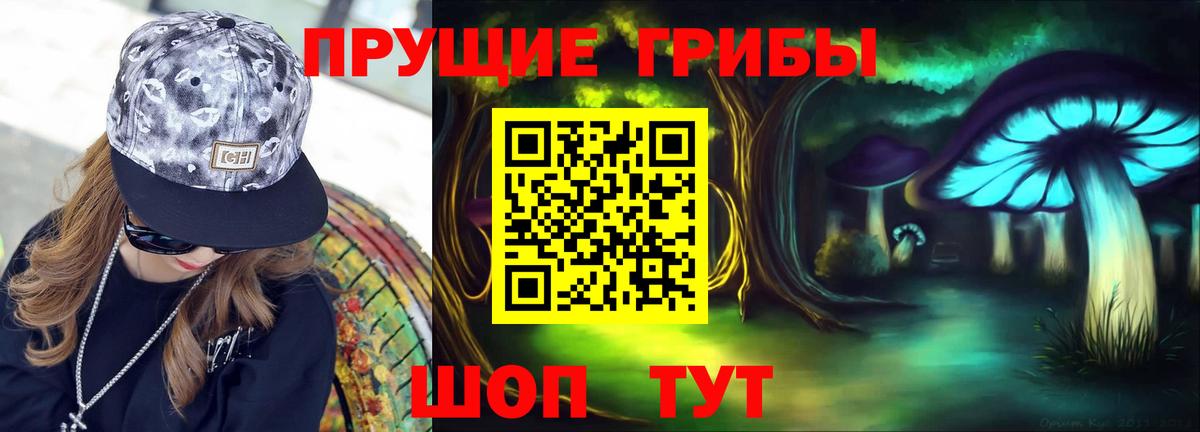 Галлюциногенные грибы Psilocybine cubensis  сколько стоит  Пенза  Галлюциногенные грибы GOLDEN TEACHER 